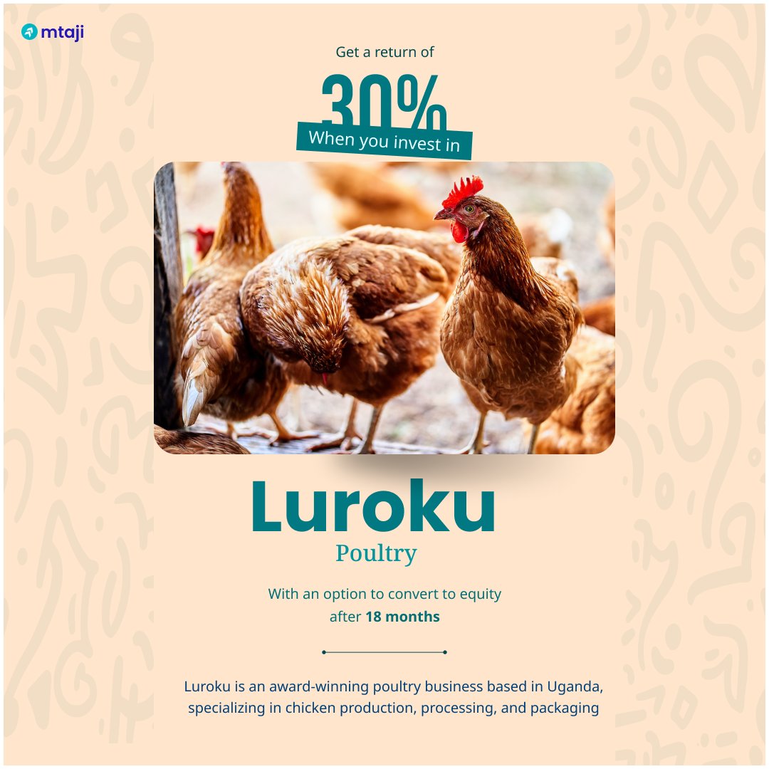 mtaji_io's tweet photo. Exciting news! Luroku, an award-winning Ugandan poultry business, is joining mtaji! 
Specializing in production, processing &amp; packaging, they aim to make a positive impact in their community.

Join the pre-raise now at https://t.co/ztbTv6Gcet.
#crowdfunding  #poultryfarming 🚀🐓 https://t.co/zdblvOWs5Q