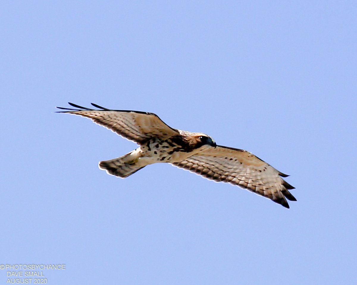 Fr. Willy Raymond tweet media