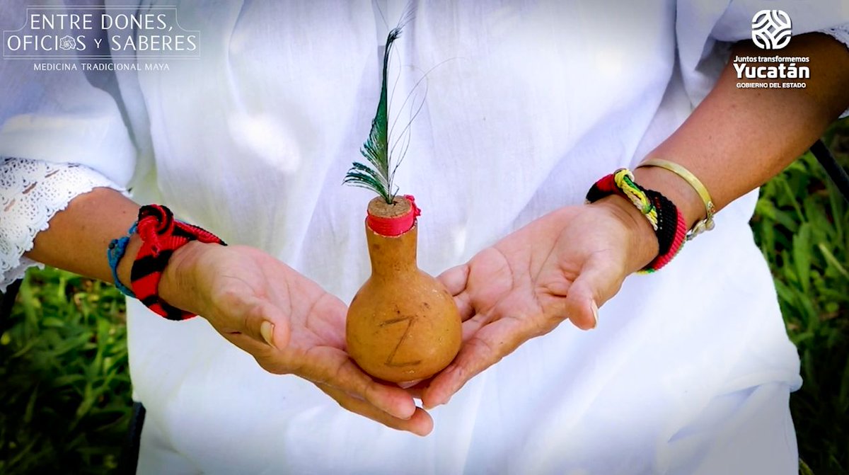 MeridaModerna's tweet photo. Dan a conocer #Documental yucateco sobre medicina tradicional #Maya. 📹🤩✅

El video, ganador de festival internacional, está disponible en el canal de #YouTube de #Sedeculta.

Descubre más 👉https://t.co/SrcnpQRCfK https://t.co/E8SWtT5YPh