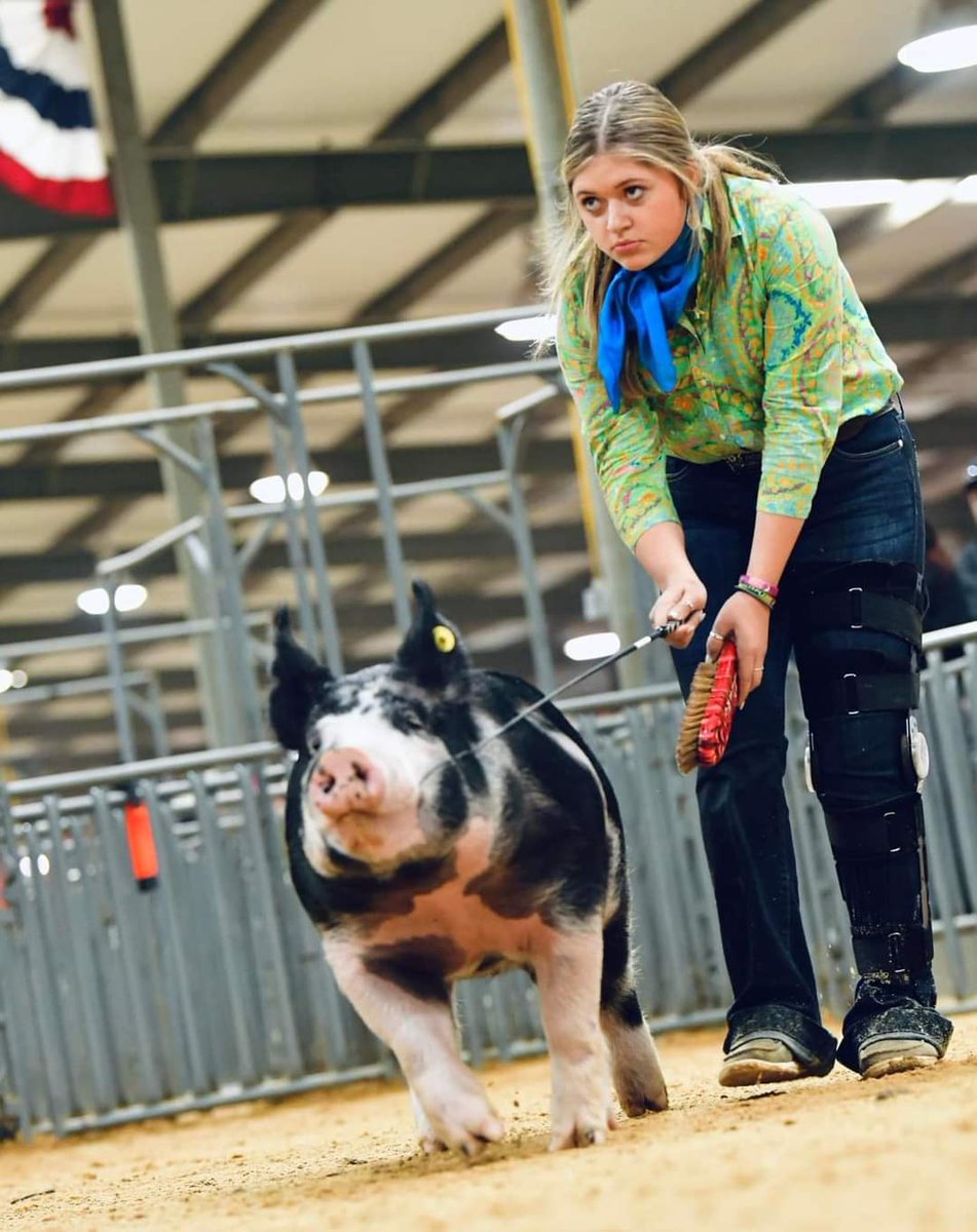 Nick Canizales On Twitter RT HFISD Longhorns Hamshire Fannett FFA nick-canizales-on-twitter-rt-hfisd-longhorns-hamshire-fannett-ffa