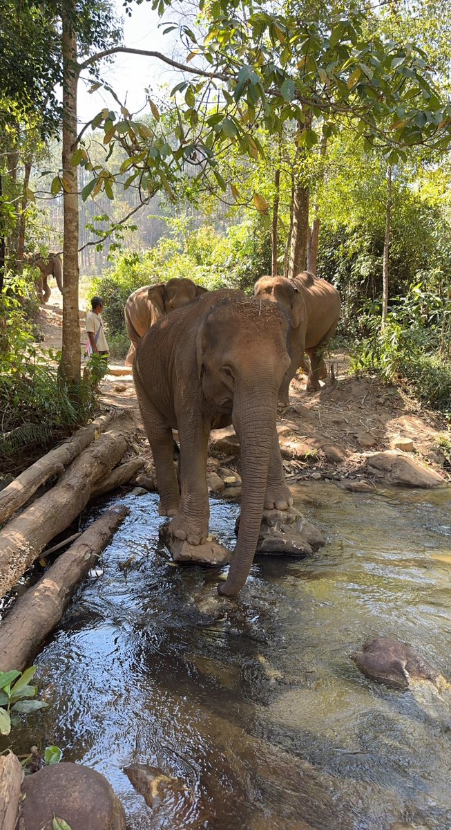 DSampson101's tweet photo. Caribbean, Switzerland, France, and now almost a month in Thailand✅ Nepal you’re next! https://t.co/Nf5QTtNJXn