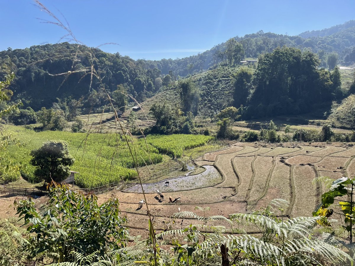 DSampson101's tweet photo. Caribbean, Switzerland, France, and now almost a month in Thailand✅ Nepal you’re next! https://t.co/Nf5QTtNJXn