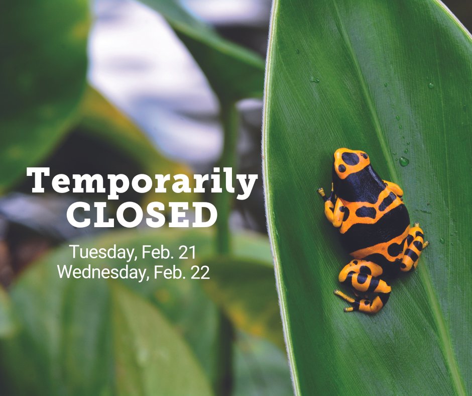 Butterfly Gardens tweet media