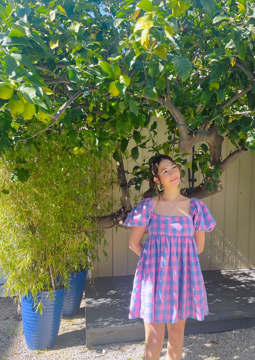 Brigetta tweet media