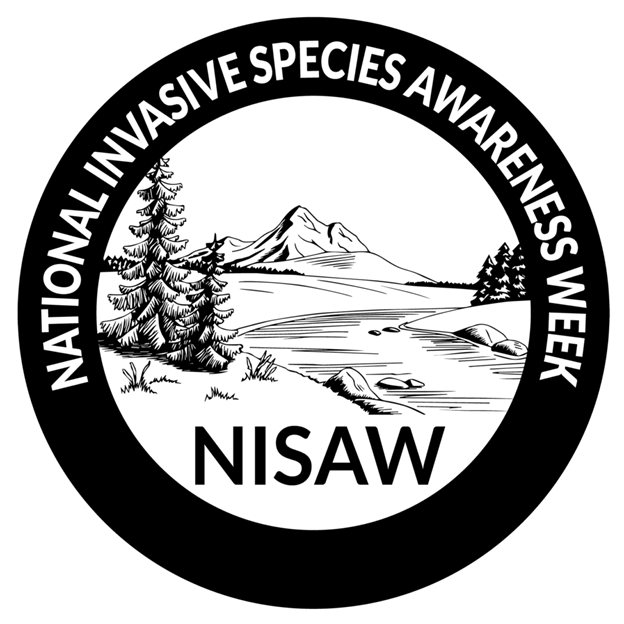 USFWSAlaska's tweet image. It’s National Invasive Species Awareness Week (#NISAW)! How can you help keep Alaska wild and free of #invasivespecies? See something, say something! Use the online reporting tool (ow.ly/VOYT50MXygr)  or call 1-877-INVASIV.