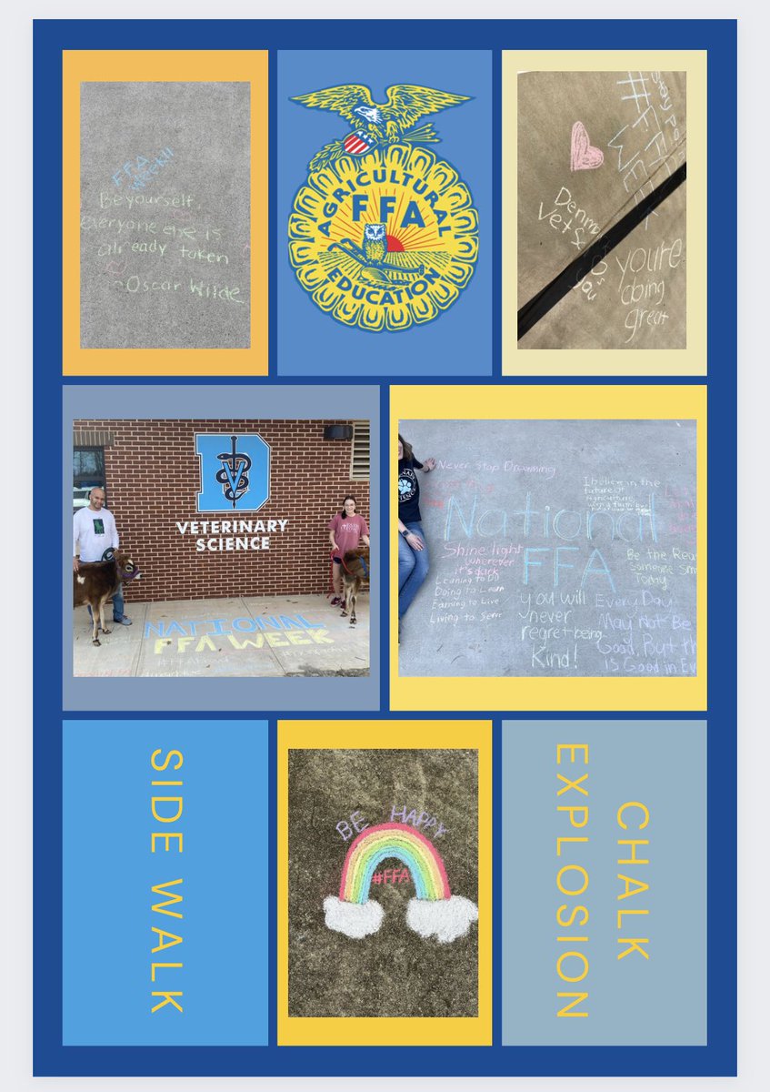 DonovanHemming1's tweet photo. Denmark FFA's officers, advisors, and even the cows spent some time in the sunshine today to play with chalk! We love celebrating FFA Week!! @NationalFFA @DHSVetScience @FCSchoolsGA @FCCollegeCareer #FFAWeek #NationalDaysofService #FFAProud #Celebrate #Agriculture https://t.co/FN999spzTy