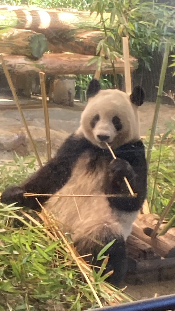 ふなゆき tweet media