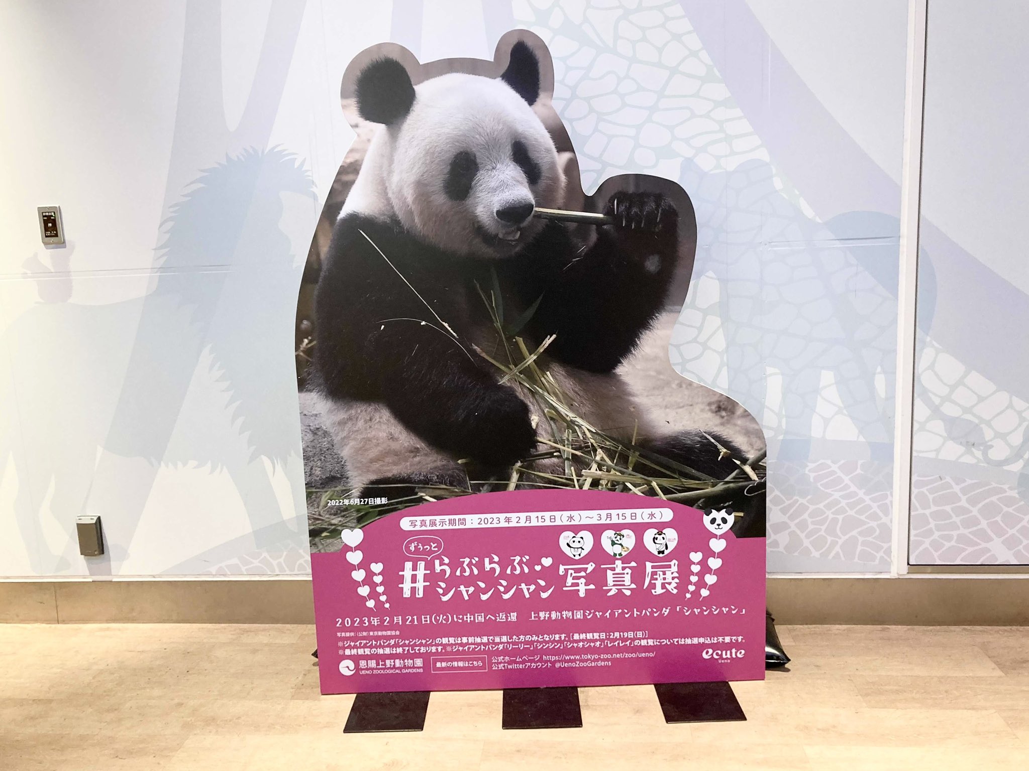 らぶらぶシャンシャン B2 ポスター エキュート 上野 パンダ シャンシャン-