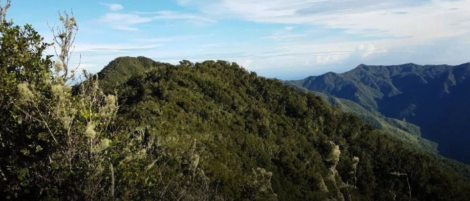KarenGeterdone's tweet photo. The highest mountain in Cuba is Mt Turquino & being able to walk through Fidel's hideout & cross the Sierra Maestras mountain range added to the excitement.
#doepicshit #challenge #hiking #trekking #climbing #mountains #endurance #adventure #Summits #geterdone #60rising #Cuba https://t.co/th7D15uyrr