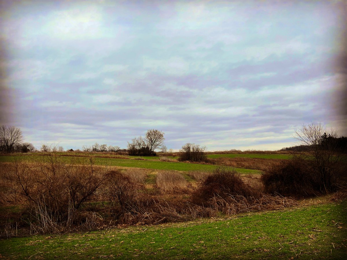 Victor J. Evans tweet media