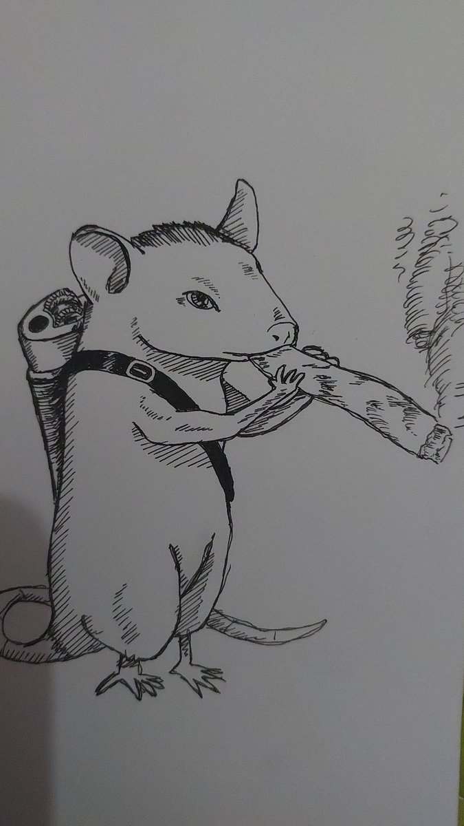 joabkt's tweet photo. Vou fazer um mangá sobre um rato maconheiro, esse é o concept.

Comprariam? https://t.co/2IUTeAwdLw