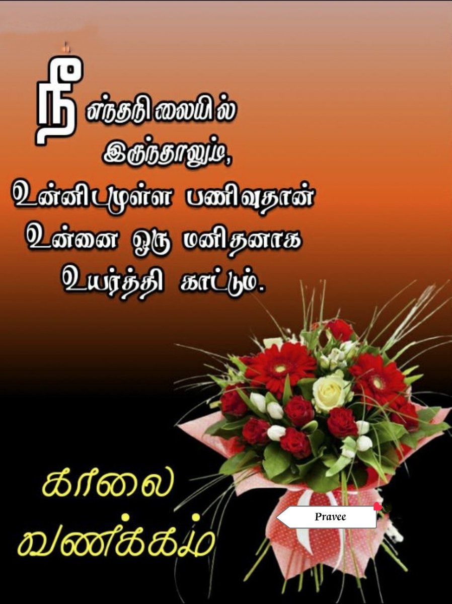 pravee1785's tweet photo. Good morning dear all my friends 💞 https://t.co/DQiztom4WI