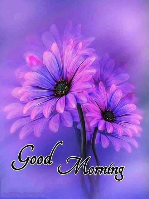 drlalpathlab4's tweet image. 