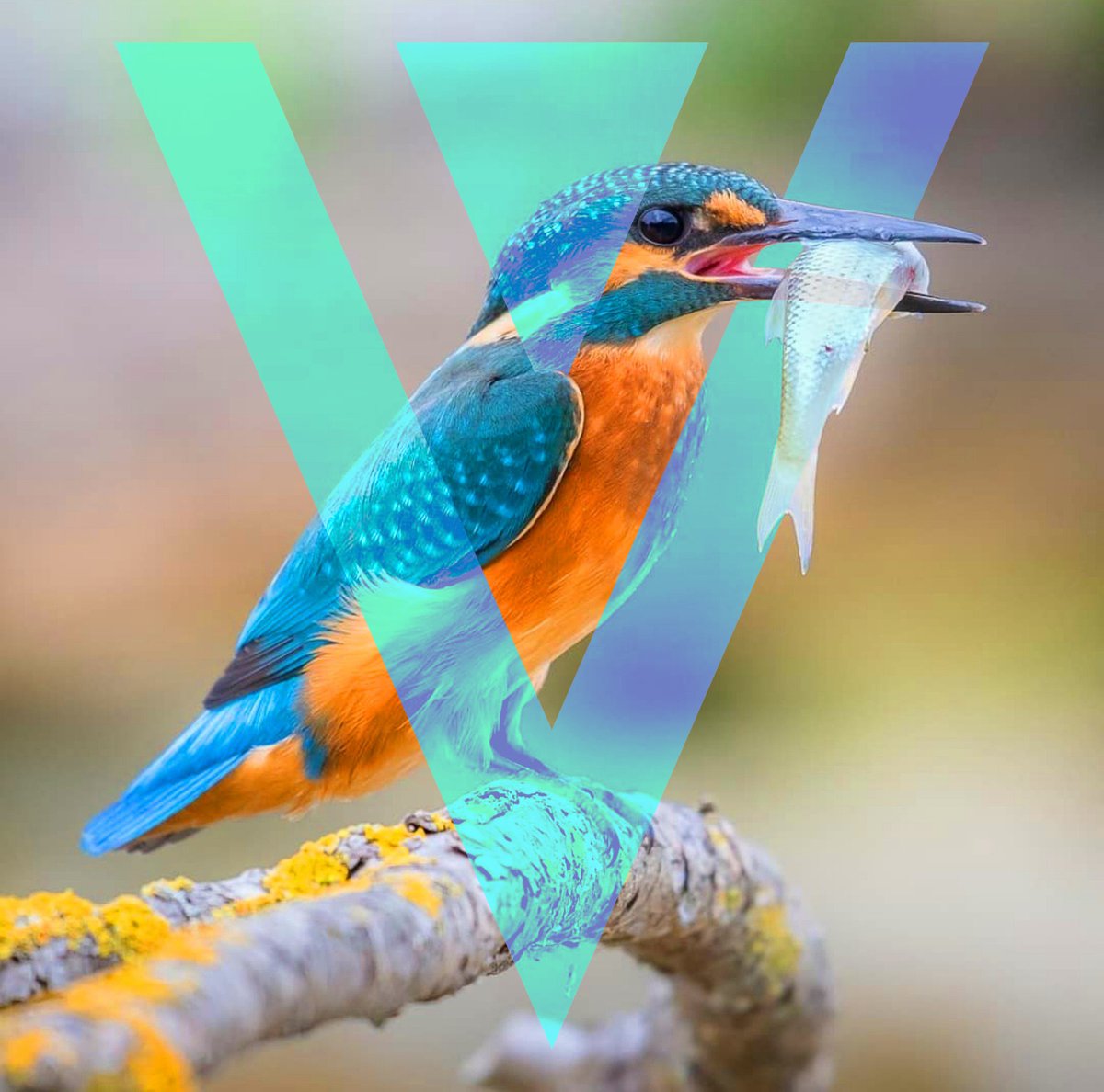 DomainsVvs's tweet photo. Goodnight #VergeFam!
🐦🦅🦆🦢🦉🦚🦜🦤🕊️🪹🪺🐞🐟🐠🐡🦈🎣🦐🧑‍🍳😋🍲
#VergeZoo #VergeArt #Kingfisher $XVG #XVG #XVGArt #XVGFam #XVGZoo #Altcoins #Crypto #Blockchain #Art #Birds #Bird #CryptoTwitter #Verge #VergeCurrency #UpgradeToXVG https://t.co/hKrNZyduZp