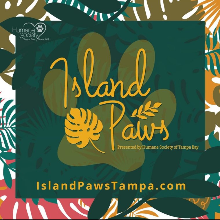 PawsUpTampa's tweet photo. As we near the season of summer, so does Island Paws. In this event hosted by the @HumaneTampaBay you can enjoy the beautiful beach with your furry friend on April 28th!Visit for more information: https://t.co/CM5RbYQgKb https://t.co/0SZ4kpEb1w