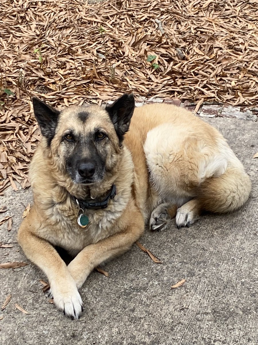 Rebecca Conley tweet media