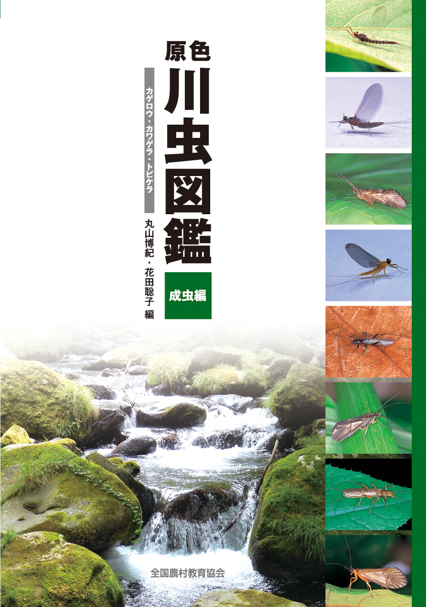 ZENNOKYO's tweet photo. [川虫図鑑 成虫編]
カゲロウ成虫84種、カワゲラ成虫102種、トビケラ成虫163種。鮮明なカラー写真（564点）と精密図版（590点）、的確な解説により、はじめての方でも川虫成虫の識別が可能です。検索表も充実。
 #川虫 #水生昆虫 #昆虫 #釣り

https://t.co/L3aih3q1St https://t.co/cum7CkgxpI