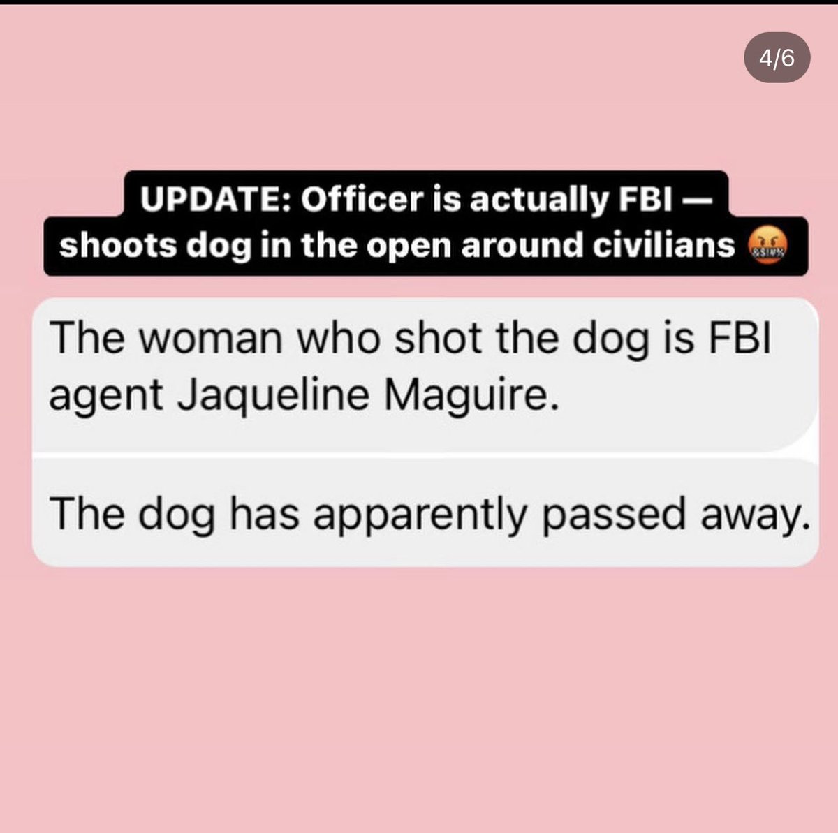 Rev_philly's tweet photo. @FBIPhiladelphia you allow your agents to shoot animals on busy city streets?! DISGRACE. Post from IG #watchoutphilly #phillyfbi #animalabuser https://t.co/LsWfNyLZdP