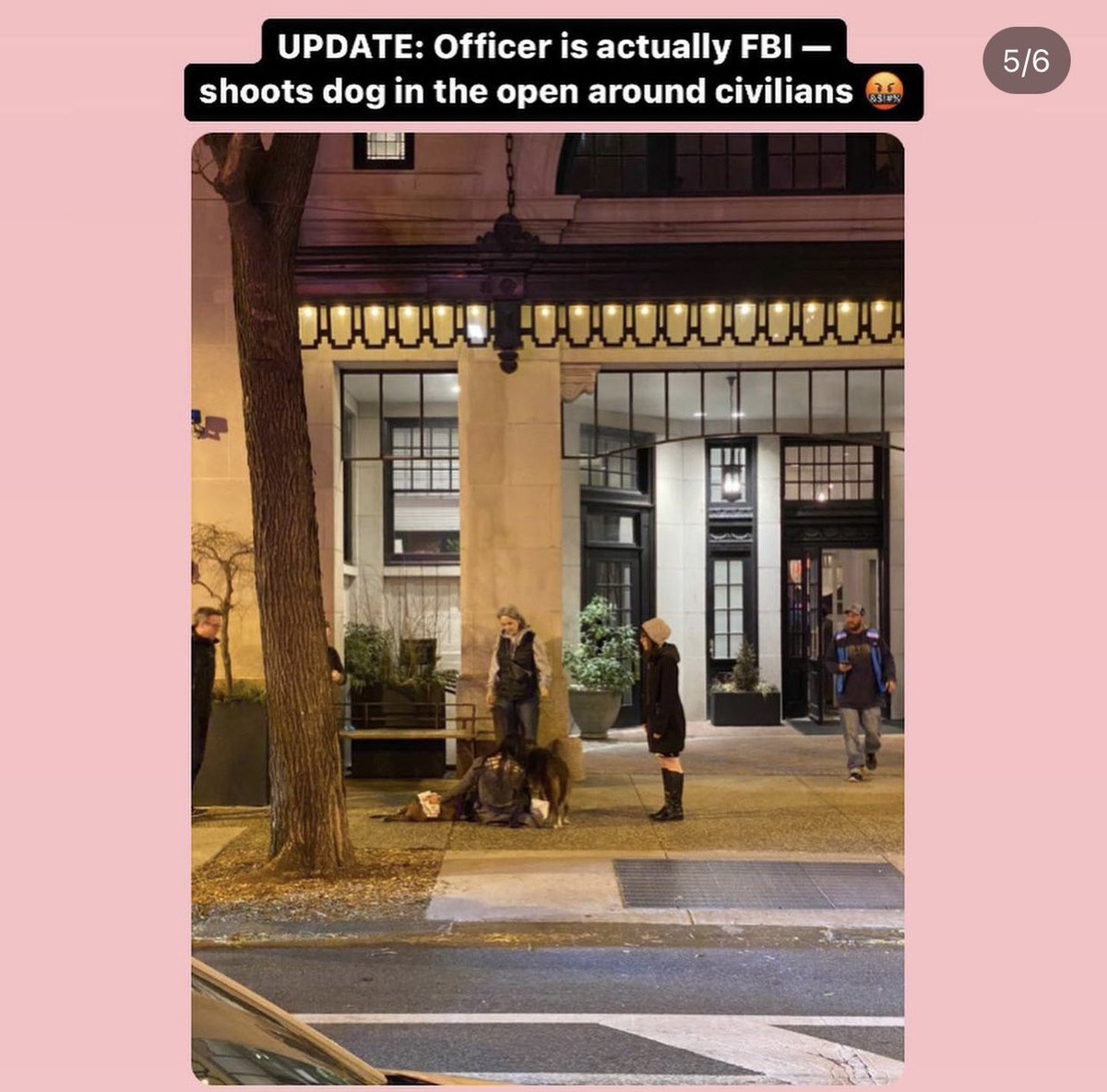 Rev_philly's tweet photo. @FBIPhiladelphia you allow your agents to shoot animals on busy city streets?! DISGRACE. Post from IG #watchoutphilly #phillyfbi #animalabuser https://t.co/LsWfNyLZdP