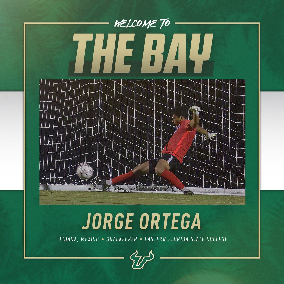 Welcome to 𝘽𝙐𝙇𝙇𝙎 𝙉𝘼𝙏𝙄𝙊𝙉, Jorge‼️ 🇲🇽

 #HornsUp🤘 | #Bullieve