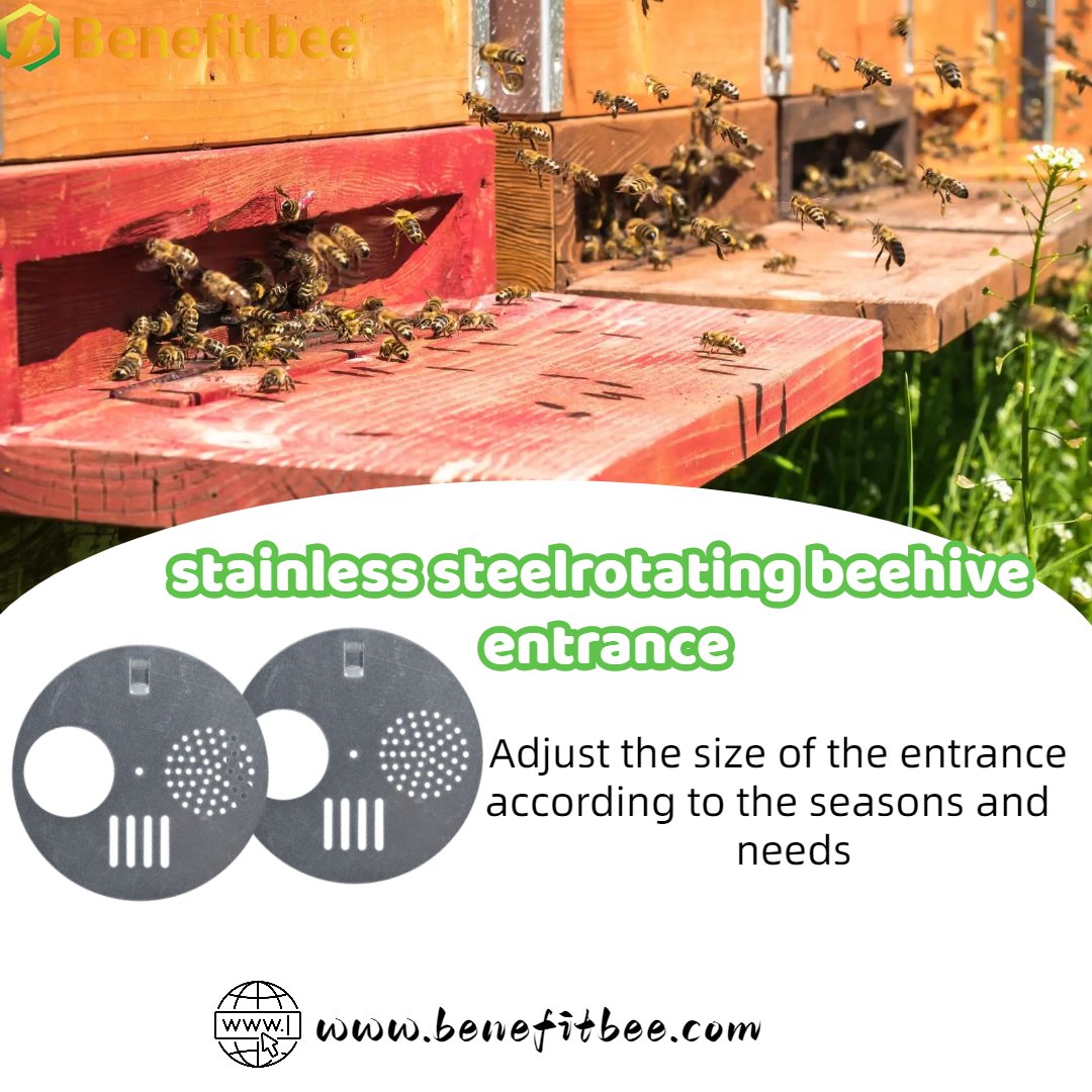 szbenefitbee's tweet image. Benefitbee beekeeping tools stainless steel rotating hive entrance
The hive entrance is the channel connecting the bee colony with the outside world, and it is the channel with the most frequent bee activities
#beekeeping #beekeepingtools #hiveentrance #benefitbee