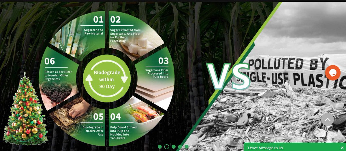 rony_eco's tweet image. Looking for #ecofriendly #disposablepackaging for your tasty foods?
Our #cateringdisposables are made with #bagasse, otherwise known as #sugarcanepulp – a much better alternative to conventional #foam #plasticdisposables that are made from fossil fuels. 
Just comment me!