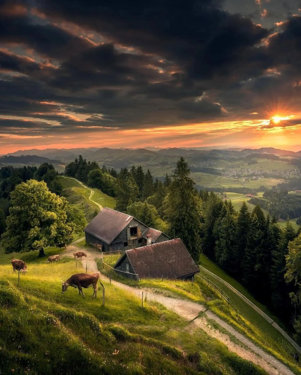 The beauty of Switzerland 🇨🇭😍
.
.

#switzerlandcolors #swizerland #swissalps #swisstravel #switzerlandlover #newpost #switzerlandmountains #beautifultravel #heavenonearth #europebeauty #zurich #likeforlikes #followforfollowback #viraltoday