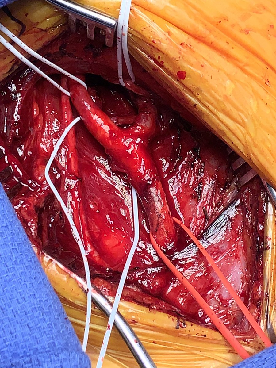 frank arko tweet media