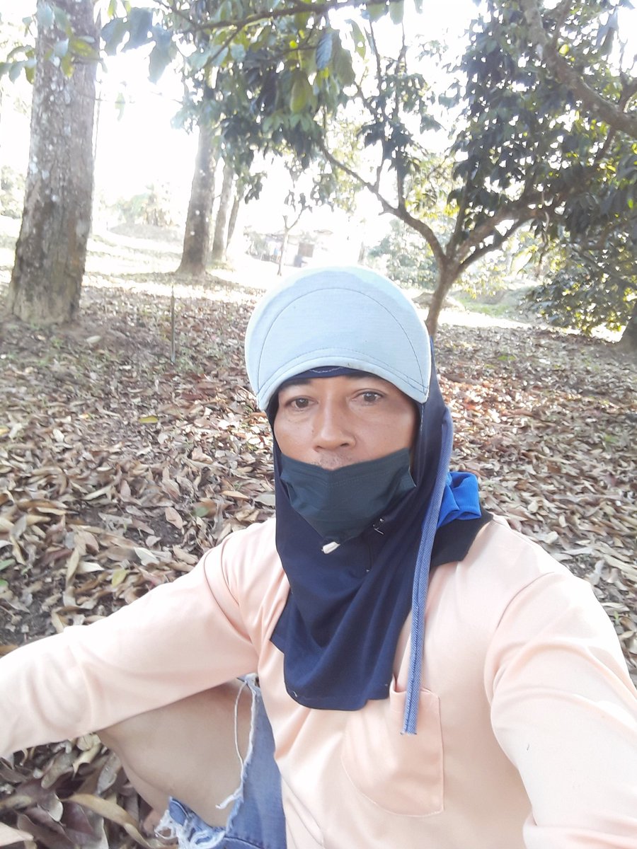 T0011378 tweet media