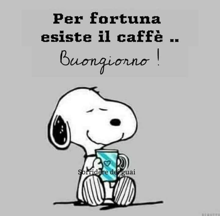 alevr67's tweet photo. Buongiorno bella gente, buon martedì a tutti ☕️☕️☕️☕️☕️ https://t.co/NCzlXrGFmP