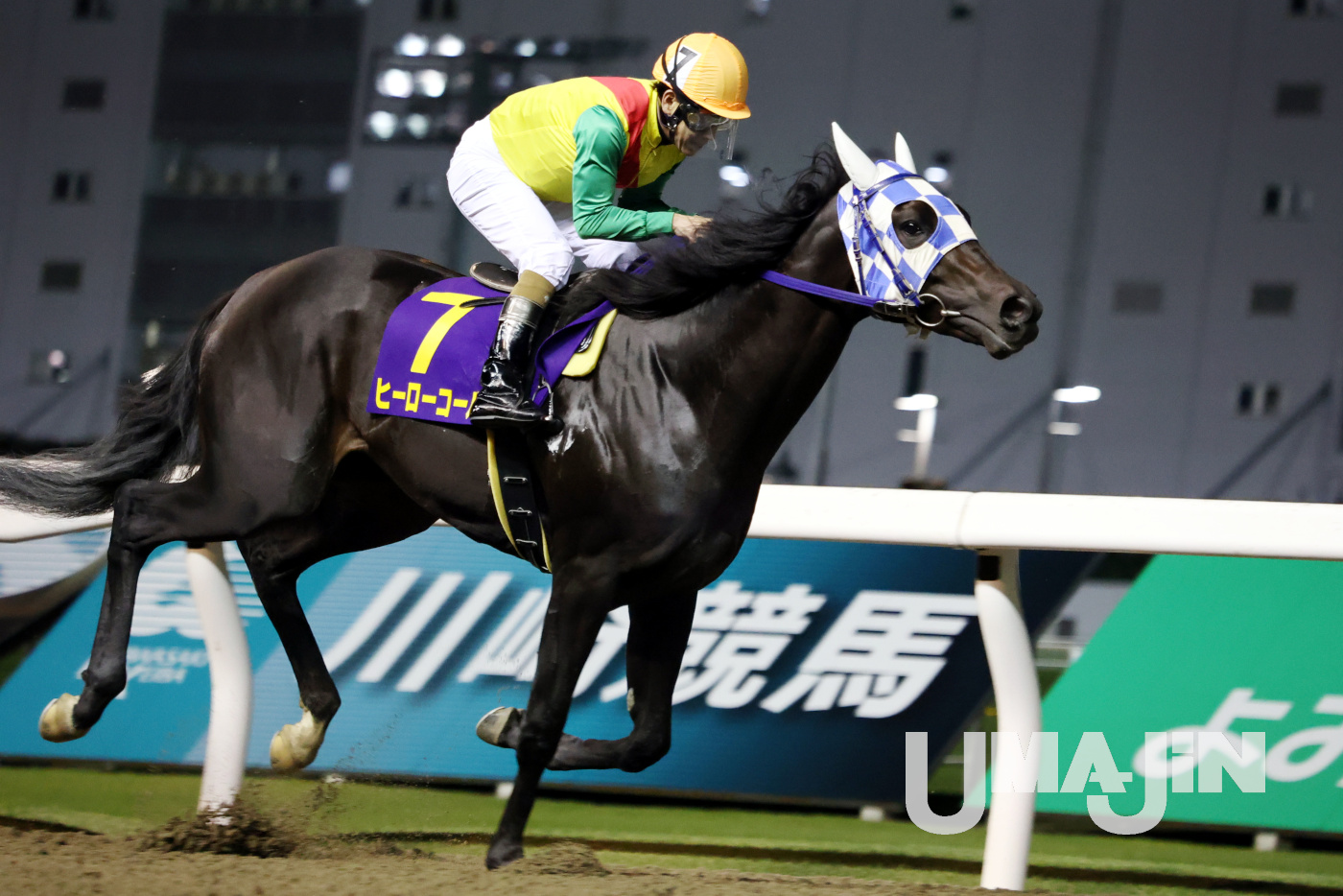 お買い物マラソン限定☆ 地方競馬 大井競馬のあゆみ | dizmekaro.com