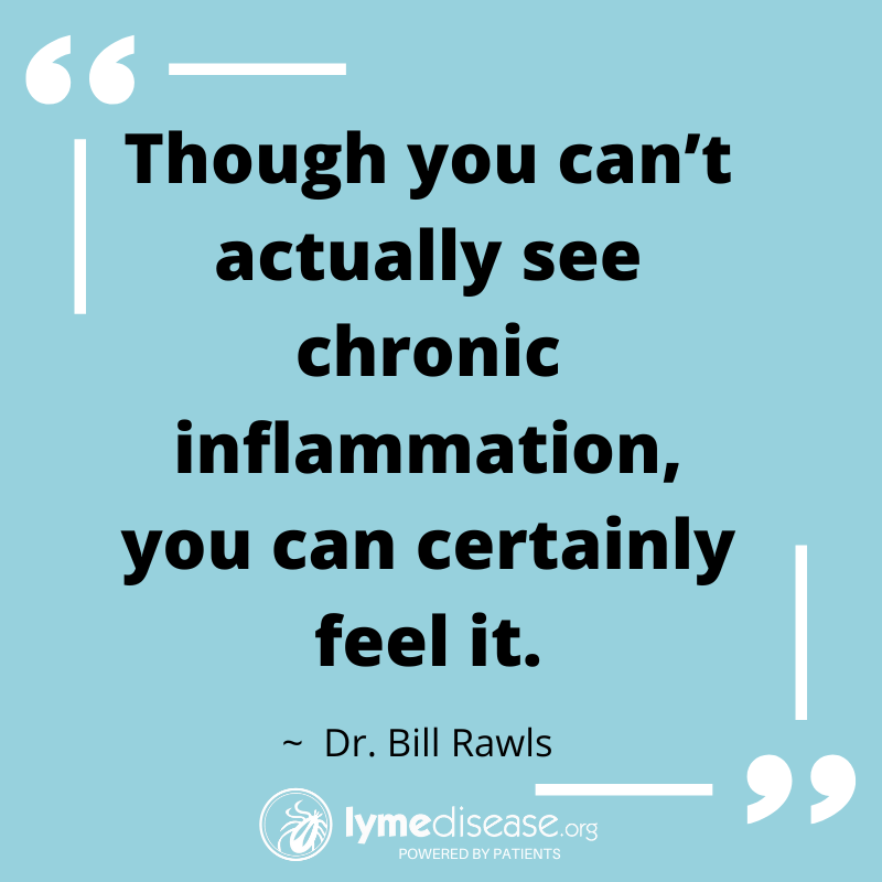 LymeDisease.org tweet media