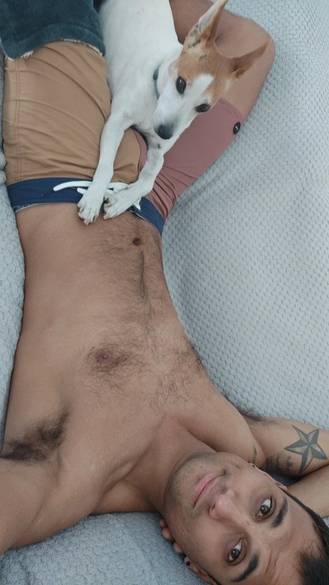 Dingo (@justin_dingo) / Posts / X