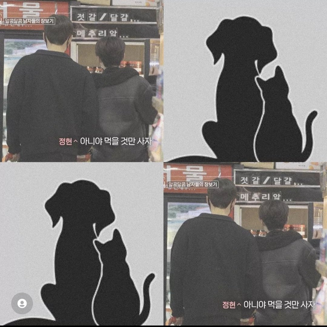 #Junghyun #Changmin 🐱 🐈 🐶🐕
♥️♥️🥹
