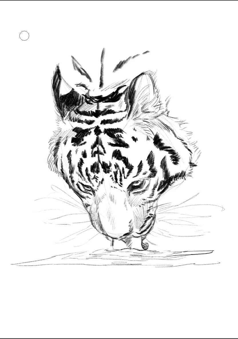 testing out a pencil brush 