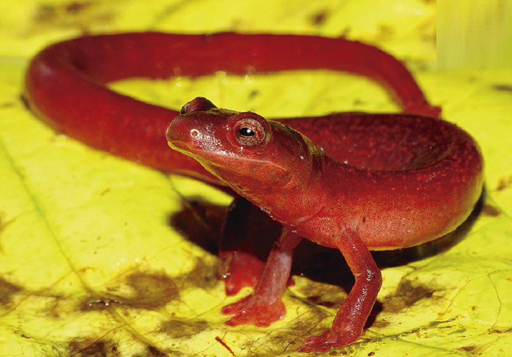 Simon Harper tweet media