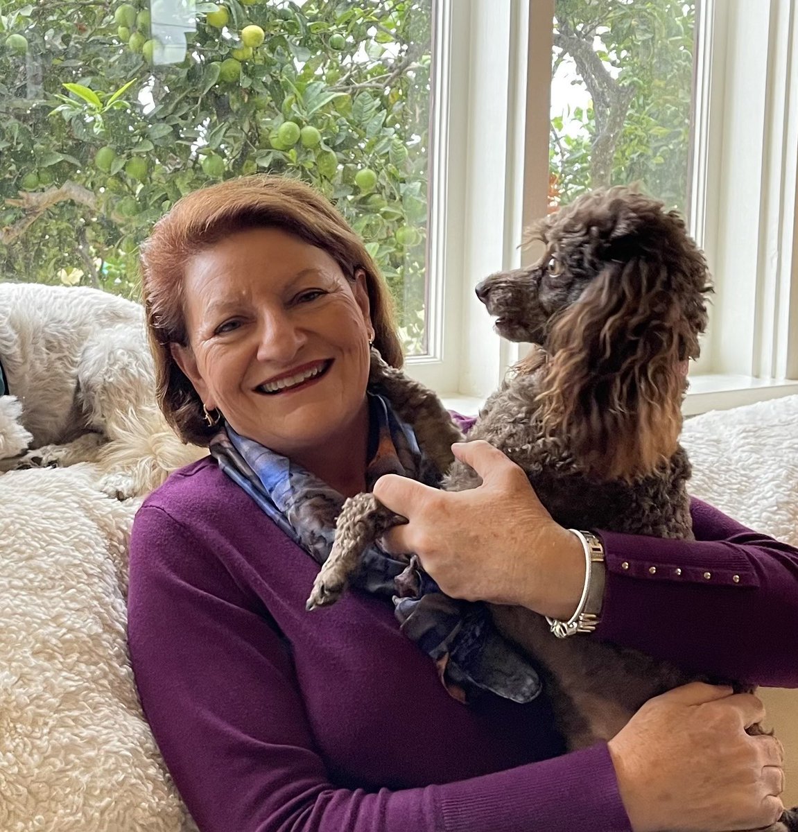SenToniAtkins's tweet photo. #LoveYourPetDay is a perfect excuse to hug Joey and Mia a little tighter. Our pets are our family and comfort in tough times–that’s why I co-authored #AB415 in 2019 to ensure survivors of #DomesticViolence can keep their pets when they leave unsafe situations. 🐶🐱 https://t.co/qGTxtbeQW4