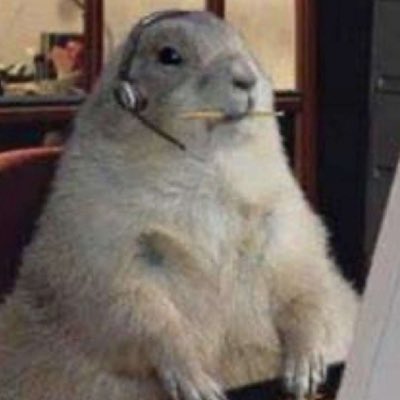 GShezz's tweet photo. #NewProfilePic https://t.co/D0Taj2yxrR