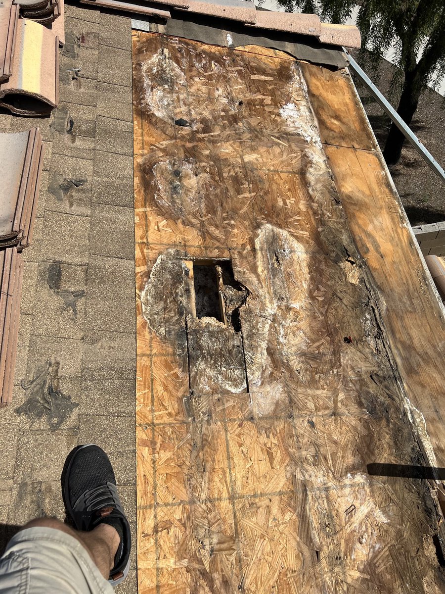 Yajirobee14's tweet photo. @SunPower @KQED @kbhome This are the results When #KBHomes and @SunPower  work together!!! https://t.co/q8Vd9ntBds