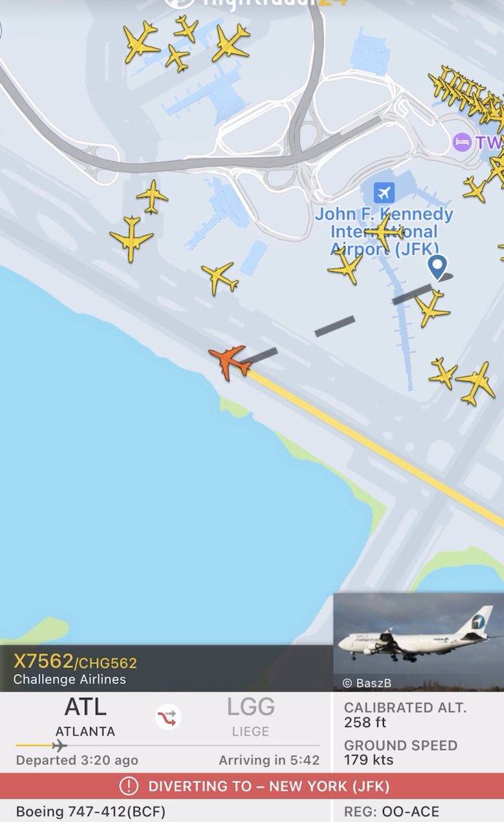 Crypto_Idiot tweet media