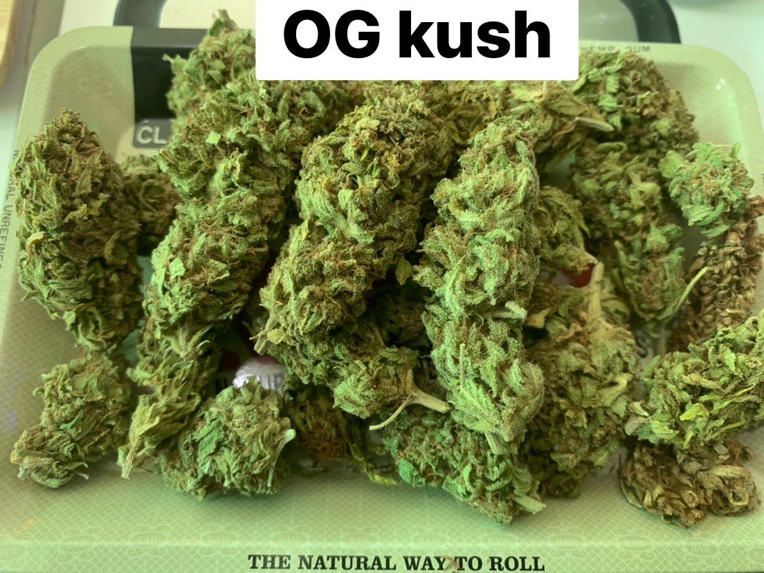Nut_tp24's tweet photo. ✅Marijuana flowers OG 250/G
Minimum 3G upcountry delivery
ส่งต่างจังหวัดขั้นต่ำ3G ส่งฟรี

🛒 https://t.co/mxM4c7NcuG

#กัญชา #กัญชาออแกนิค #กัญชาราคาถูก 
#กัญชาog #กัญชาอุดร #กัญชาหนองคาย
#Ogอุดร #Ogหนองคาย #อําเภอเพ็ญ #สระใคร #อุดร #อุดรธานี https://t.co/bd6W3ZD3YM