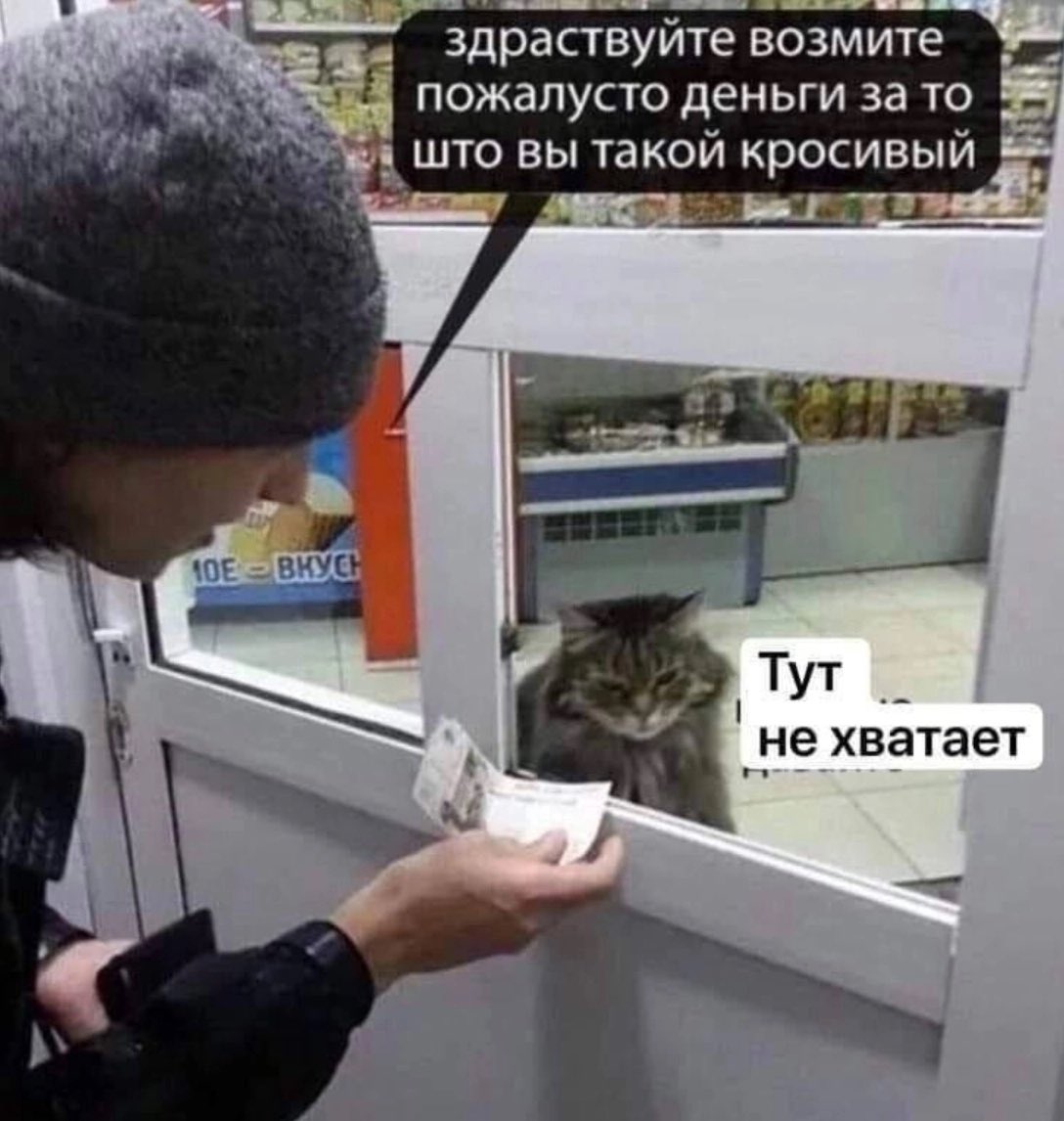 ужасные мемы (@liltonder) on Twitter photo 