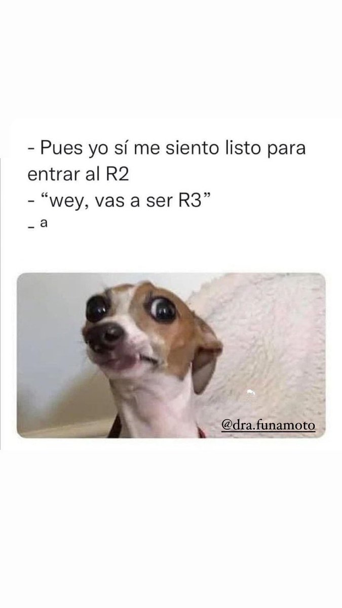 Ora si, a estudiar 🫠