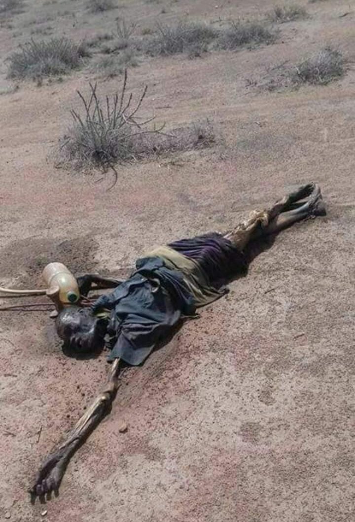 @LaurenLandis1 @KTNNewsKE @StandardKenya @WFP_Kenya @fede_nacca @WFPInnovation @UnKenya Marsabit county in northern kenya  is experiencing severe drought situation. The humanitarian situation is already grave. Urgent attention is needed from humanitarian actors. Human beings are dying in numbers. An oldman has just succumbed and the situation keeps deteriorating.