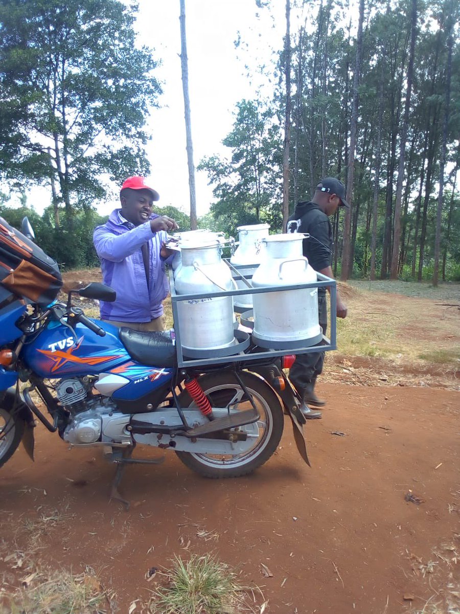 wawiranjiru's tweet photo. Yesterday, we launched the full roll out of Muranga’s ECD fortified uji programme with Gov @HonKangata. 

Funded by the county government and implemented by @Food4Education, 
it will reach over 40,000 children every day and create 1000 direct and indirect jobs in the county 🙏🏾😊 https://t.co/vDLDo7UCOL