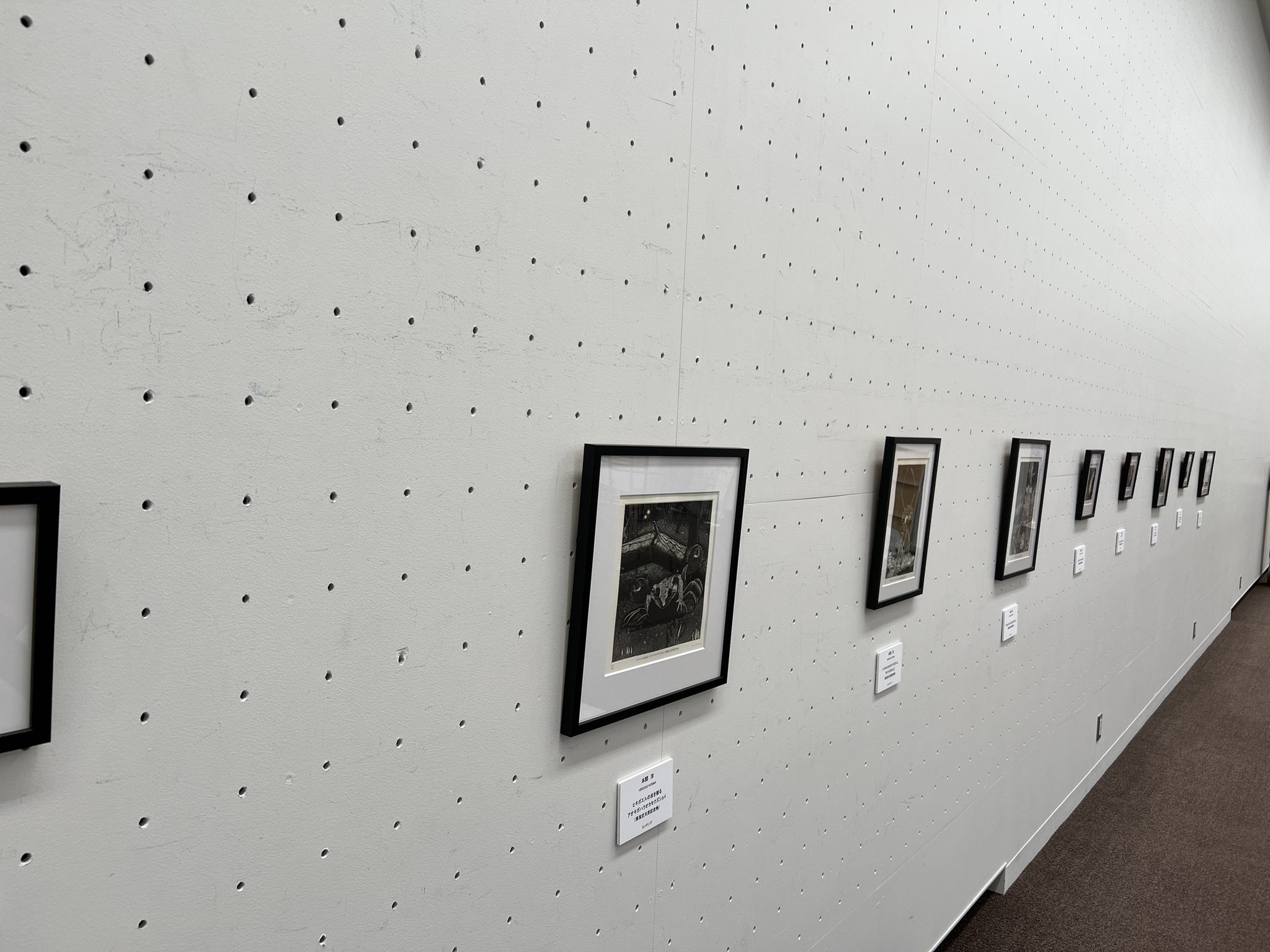 本間洋 (you_honma) / Twitter