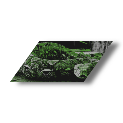 ‎ִֶָ𓂃 ࣪˖ ִֶ ‍ ִ𝑔𝗈𝖽𝖽𝖾𝗌𝗌 𖦹𝔣 𝔡𝖾𝔰𝗍𝗂𝗇𝗒 tweet media