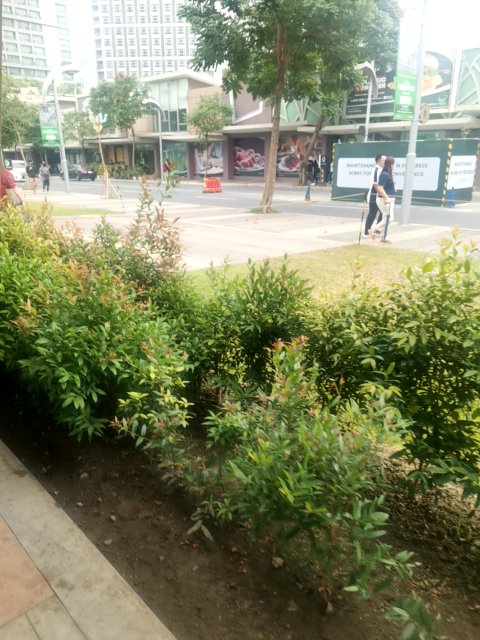 PinasGood's tweet photo. gbpprime found # in a User vault at this location! Join me playing #coinhuntworld, It's awesome! https://t.co/CEiLf9Ffq3 #cryptocurrency #174134 https://t.co/ER9illhUr2