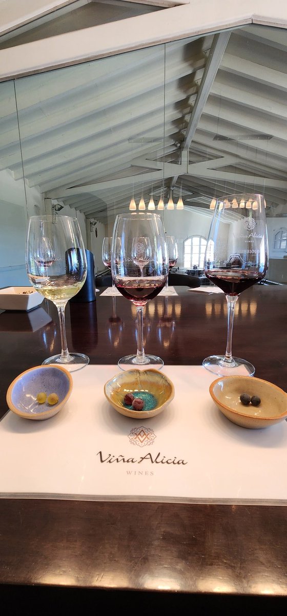 Vendimia... Uvas... Vino

<a href="/vinaaliciawine/">Bodega Viña Alicia</a>