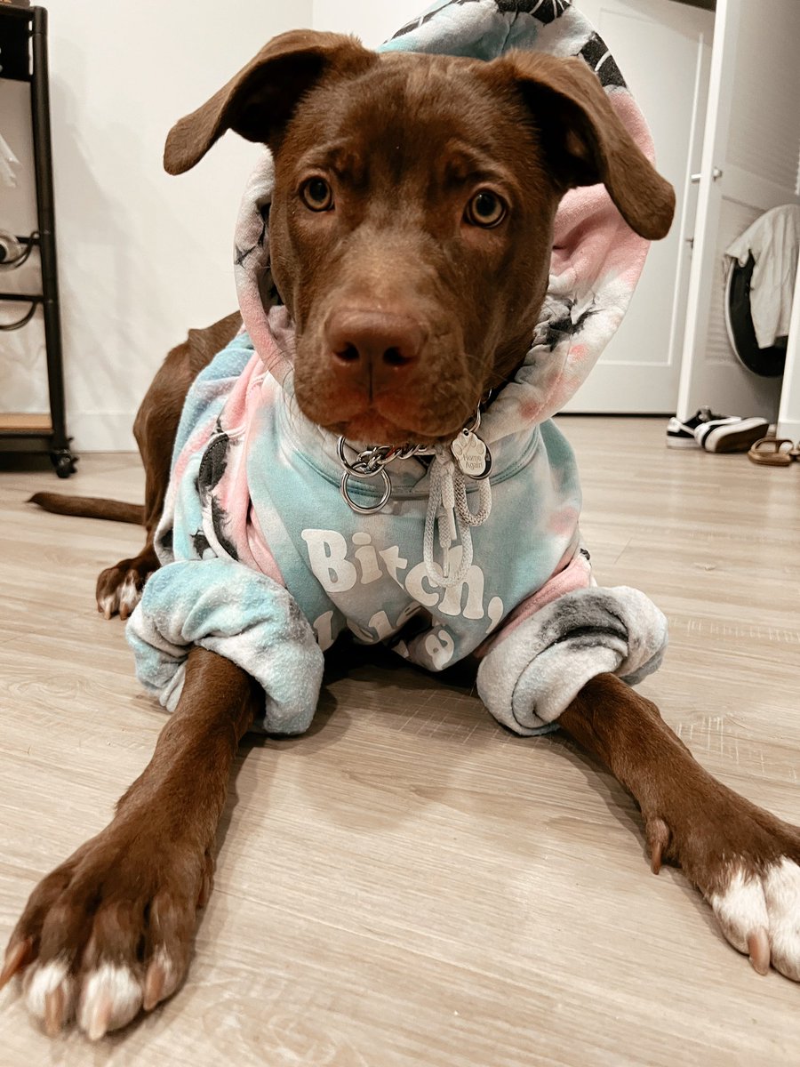 sparkes_94's tweet photo. Hoodie girly https://t.co/0mtgADCNYp